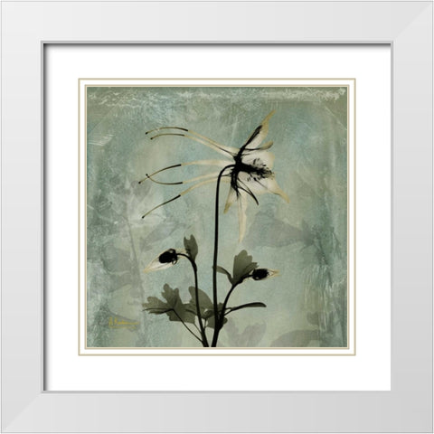 Columbine White Modern Wood Framed Art Print with Double Matting by Koetsier, Albert