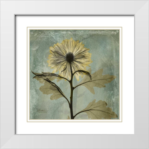 Chrysanthemum White Modern Wood Framed Art Print with Double Matting by Koetsier, Albert