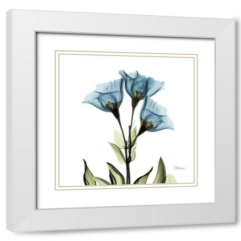 Gentian Azure L301 White Modern Wood Framed Art Print with Double Matting by Koetsier, Albert