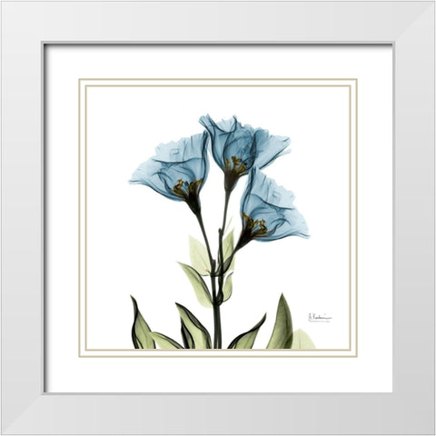 Gentian Azure L301 White Modern Wood Framed Art Print with Double Matting by Koetsier, Albert