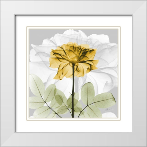 Rose in Gold 1 White Modern Wood Framed Art Print with Double Matting by Koetsier, Albert