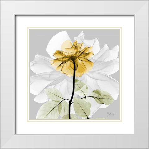 Rose in Gold 2 White Modern Wood Framed Art Print with Double Matting by Koetsier, Albert