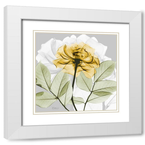 Rose in Gold 3 White Modern Wood Framed Art Print with Double Matting by Koetsier, Albert