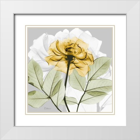 Rose in Gold 3 White Modern Wood Framed Art Print with Double Matting by Koetsier, Albert