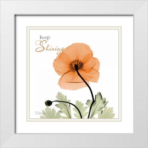 Keep Shining Iceland Poppy White Modern Wood Framed Art Print with Double Matting by Koetsier, Albert