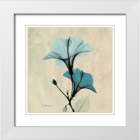 Hibiscus White Modern Wood Framed Art Print with Double Matting by Koetsier, Albert