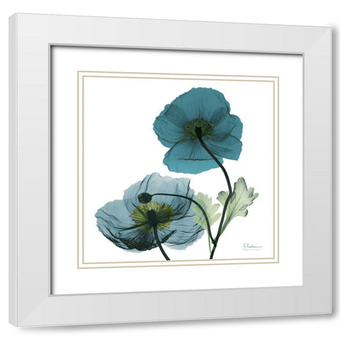 Iceland Poppy W White Modern Wood Framed Art Print with Double Matting by Koetsier, Albert