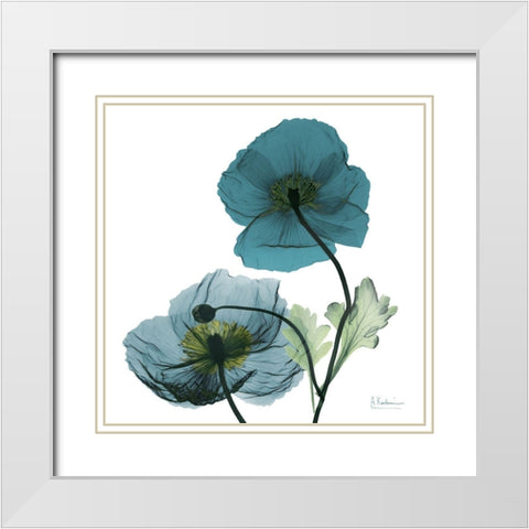 Iceland Poppy W White Modern Wood Framed Art Print with Double Matting by Koetsier, Albert