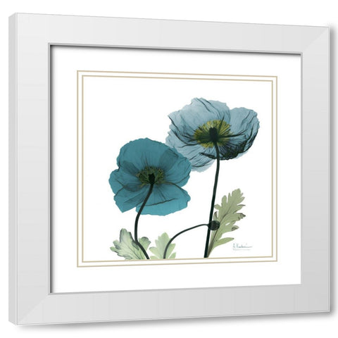 Iceland Poppy W White Modern Wood Framed Art Print with Double Matting by Koetsier, Albert