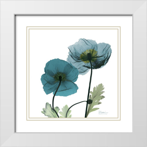 Iceland Poppy W White Modern Wood Framed Art Print with Double Matting by Koetsier, Albert