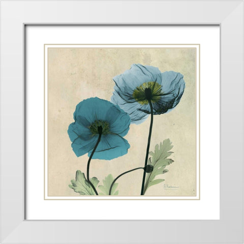 Iceland Poppy White Modern Wood Framed Art Print with Double Matting by Koetsier, Albert