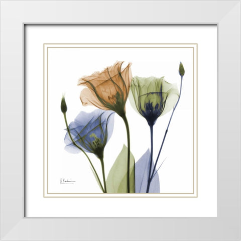 Gentian Buddies White Modern Wood Framed Art Print with Double Matting by Koetsier, Albert