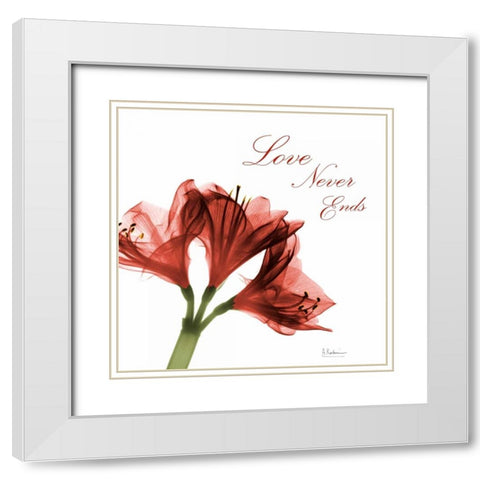 Amaryllis Quote White Modern Wood Framed Art Print with Double Matting by Koetsier, Albert