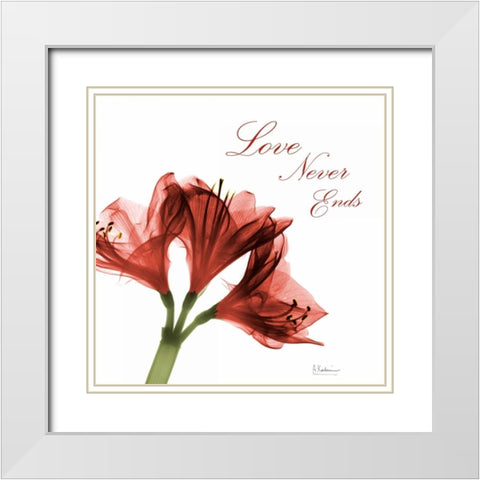 Amaryllis Quote White Modern Wood Framed Art Print with Double Matting by Koetsier, Albert