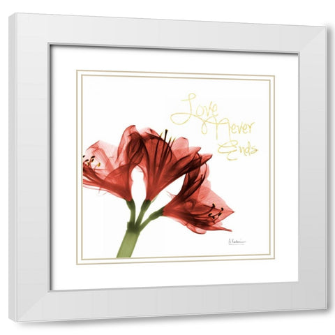 Amaryllis Endless Love White Modern Wood Framed Art Print with Double Matting by Koetsier, Albert