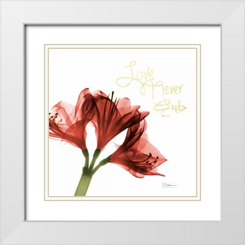 Amaryllis Endless Love White Modern Wood Framed Art Print with Double Matting by Koetsier, Albert