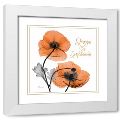 Imagine Iceland Poppy White Modern Wood Framed Art Print with Double Matting by Koetsier, Albert