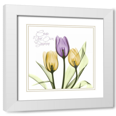 Purple Sunshine Tulips White Modern Wood Framed Art Print with Double Matting by Koetsier, Albert