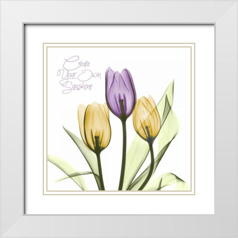 Purple Sunshine Tulips White Modern Wood Framed Art Print with Double Matting by Koetsier, Albert