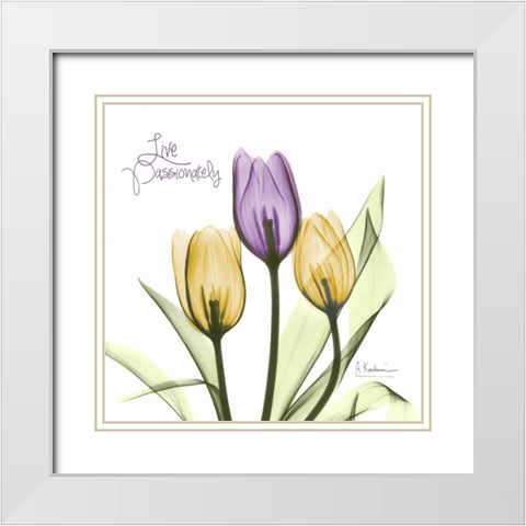 Live Passionately Tulips White Modern Wood Framed Art Print with Double Matting by Koetsier, Albert