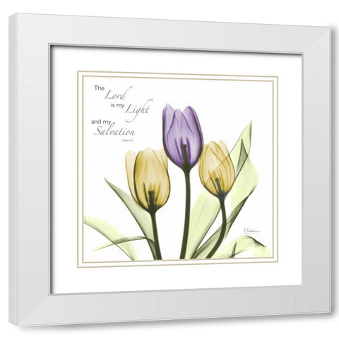 Tulips Salvation White Modern Wood Framed Art Print with Double Matting by Koetsier, Albert