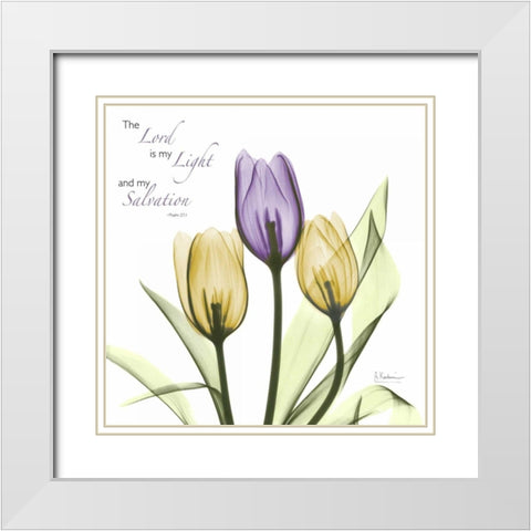 Tulips Salvation White Modern Wood Framed Art Print with Double Matting by Koetsier, Albert