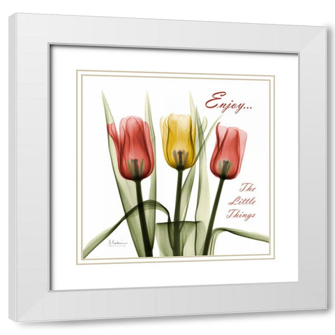 Tulips Enjoy The Little Things White Modern Wood Framed Art Print with Double Matting by Koetsier, Albert