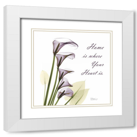 Calla Lilies Home White Modern Wood Framed Art Print with Double Matting by Koetsier, Albert