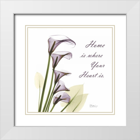 Calla Lilies Home White Modern Wood Framed Art Print with Double Matting by Koetsier, Albert