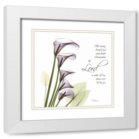 Calla Lilies Remember White Modern Wood Framed Art Print with Double Matting by Koetsier, Albert