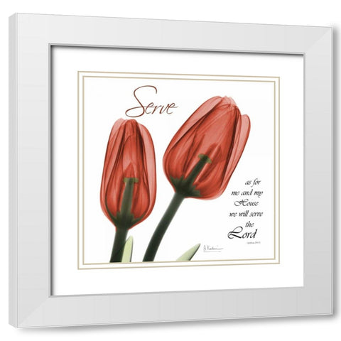 House Tulips White Modern Wood Framed Art Print with Double Matting by Koetsier, Albert