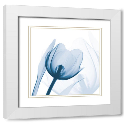 Indigo Tulip White Modern Wood Framed Art Print with Double Matting by Koetsier, Albert