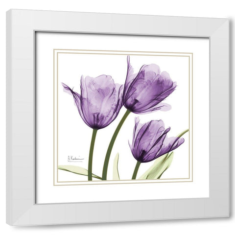 Purple Trio Tulips White Modern Wood Framed Art Print with Double Matting by Koetsier, Albert