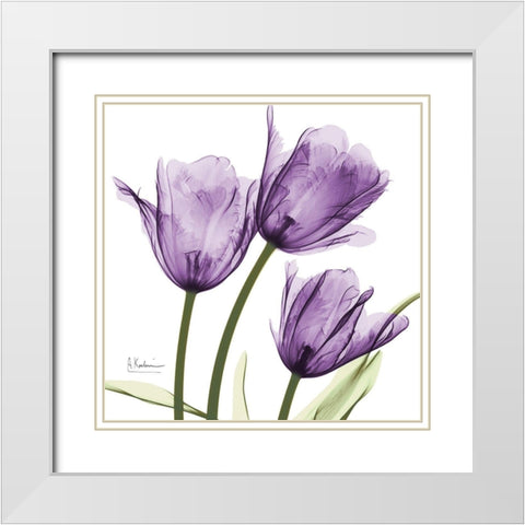 Purple Trio Tulips White Modern Wood Framed Art Print with Double Matting by Koetsier, Albert