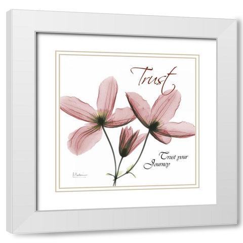 Journey Clematis White Modern Wood Framed Art Print with Double Matting by Koetsier, Albert