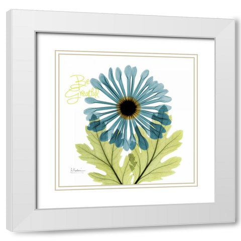 Greatful Chrysanthemum H68 White Modern Wood Framed Art Print with Double Matting by Koetsier, Albert