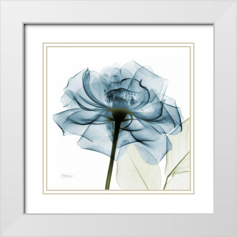 Teal Rose White Modern Wood Framed Art Print with Double Matting by Koetsier, Albert