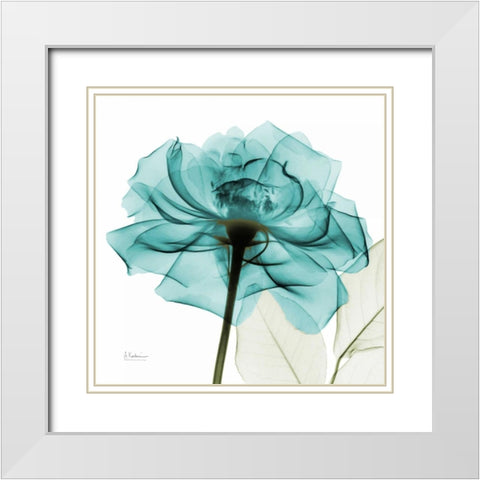 Teal Rose White Modern Wood Framed Art Print with Double Matting by Koetsier, Albert