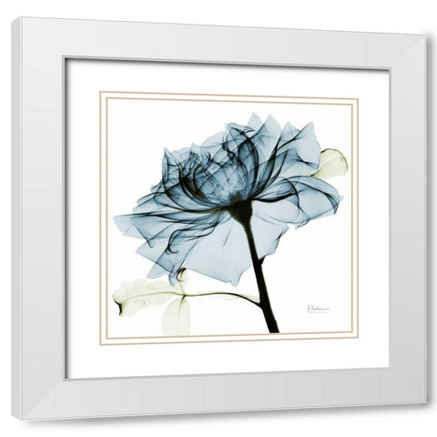 Teal Rose 2 White Modern Wood Framed Art Print with Double Matting by Koetsier, Albert