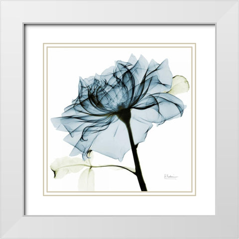 Teal Rose 2 White Modern Wood Framed Art Print with Double Matting by Koetsier, Albert