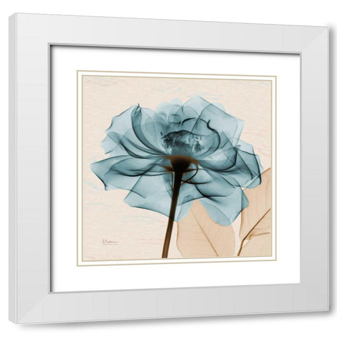 Teal Rose White Modern Wood Framed Art Print with Double Matting by Koetsier, Albert