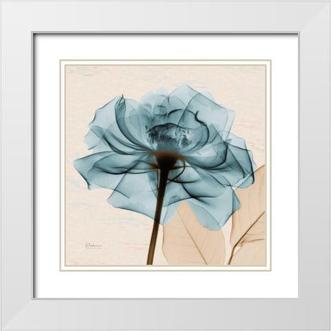 Teal Rose White Modern Wood Framed Art Print with Double Matting by Koetsier, Albert