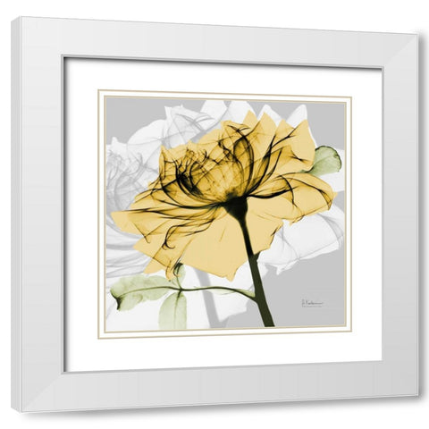 Rose in Gold 5 White Modern Wood Framed Art Print with Double Matting by Koetsier, Albert
