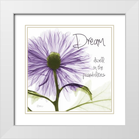 Purple Chrysanthemum Dream White Modern Wood Framed Art Print with Double Matting by Koetsier, Albert
