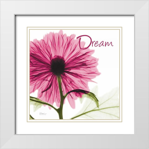 Pink Chrysanthemum Dream White Modern Wood Framed Art Print with Double Matting by Koetsier, Albert