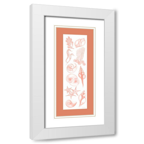 Sealife Coral Matte White Modern Wood Framed Art Print with Double Matting by Koetsier, Albert