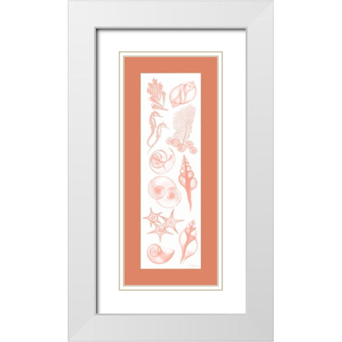 Sealife Coral Matte White Modern Wood Framed Art Print with Double Matting by Koetsier, Albert