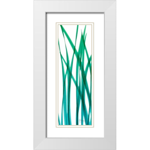 Snow Drop Flowing Blue Green White Modern Wood Framed Art Print with Double Matting by Koetsier, Albert