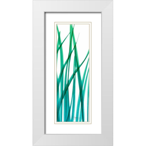 Snow Drop Flowing Blue Green 2 White Modern Wood Framed Art Print with Double Matting by Koetsier, Albert