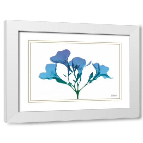 Oleander Turq Indigo White Modern Wood Framed Art Print with Double Matting by Koetsier, Albert